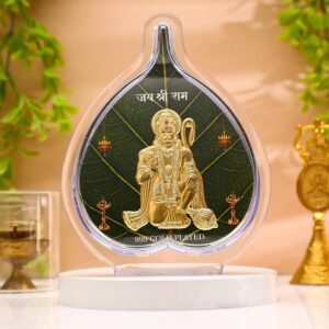 DHRUVS COLLECTION ARTIFICIAL GOLD COATED LORD HANUMAN JI